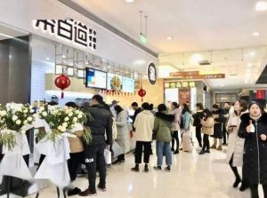 青岛鲸鱼体育加盟费是多少？